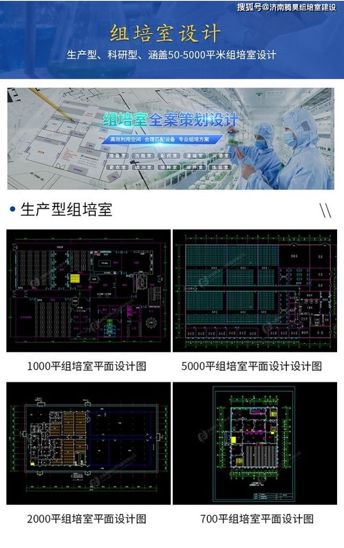 生姜組培苗工廠化生產技術及組培儀器設備清單與網絡技術開發設計融合應用